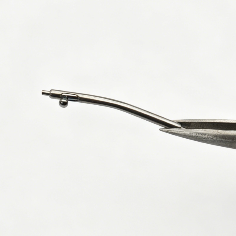 Saat Tamir Parçaları Kavisli H - Curved Spring Bar incelemesi ve fiyatı